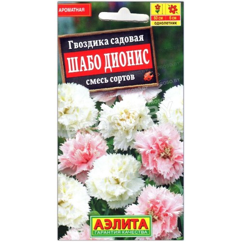 Гвоздика садовая Шабо дионис, смесь