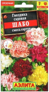 Гвоздика садовая Шабо, смесь