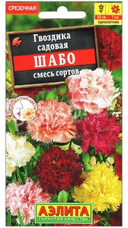 Гвоздика садовая Шабо, смесь