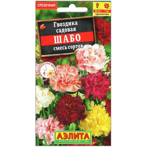 Гвоздика садовая Шабо, смесь