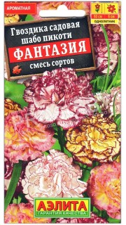 Гвоздика шабо пикоти Фантазия
