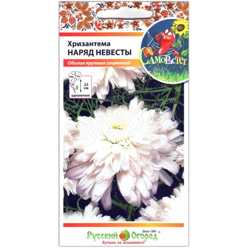 Хризантема Наряд невесты