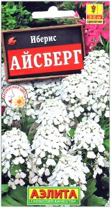 Иберис Айсберг