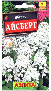 Иберис Айсберг
