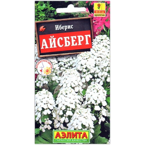 Иберис Айсберг
