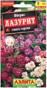 Иберис Лазурит, смесь