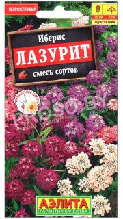 Иберис Лазурит, смесь