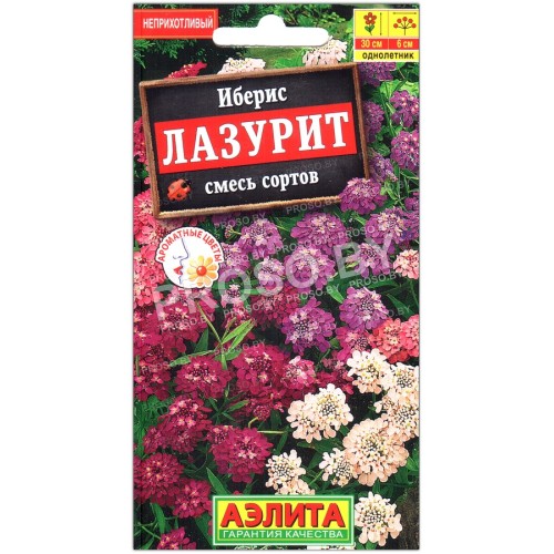 Иберис Лазурит, смесь