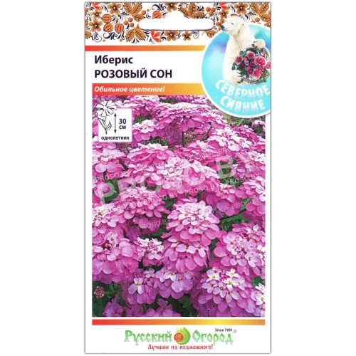 Иберис Розовый сон