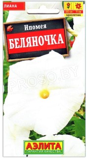 Ипомея Беляночка