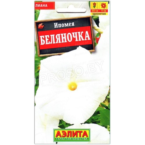 Ипомея Беляночка
