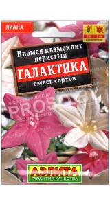Ипомея Галактика, смесь