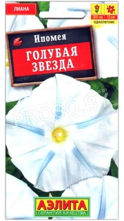 Ипомея Голубая звезда