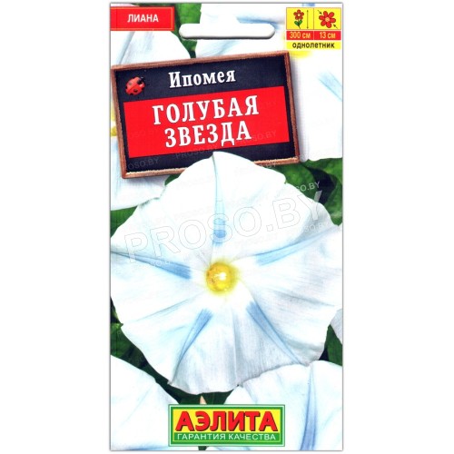 Ипомея Голубая звезда