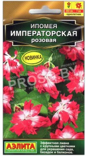 Ипомея императорская Розовая
