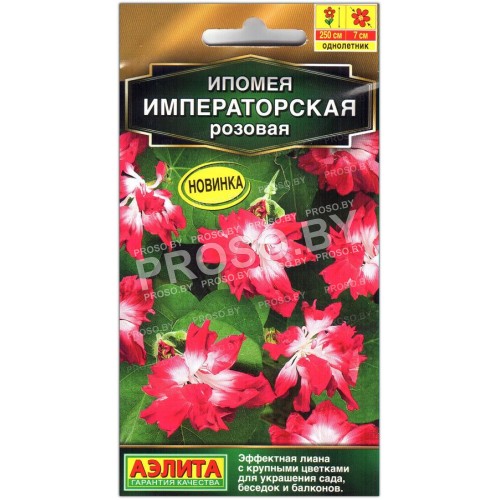 Ипомея императорская Розовая
