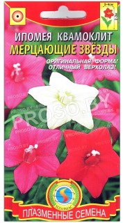Ипомея квамоклит Мерцающие звезды, смесь