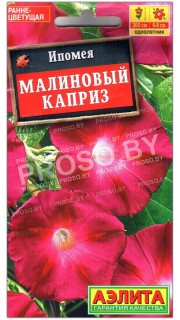 Ипомея Малиновый каприз