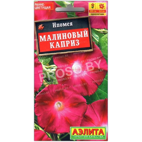 Ипомея Малиновый каприз