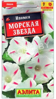 Ипомея Морская звезда