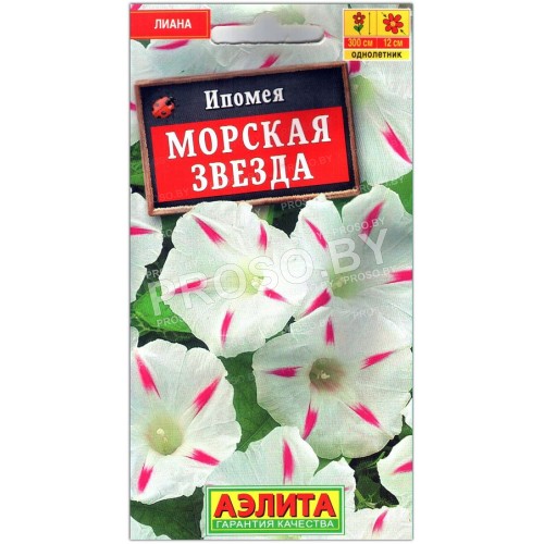 Ипомея Морская звезда