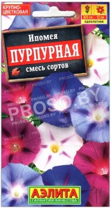 Ипомея Пурпурная, смесь