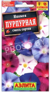 Ипомея Пурпурная, смесь