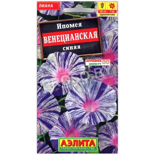 Ипомея Венецианская синяя