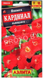 Ипомея вьющаяся Кардинал