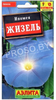 Ипомея Жизель