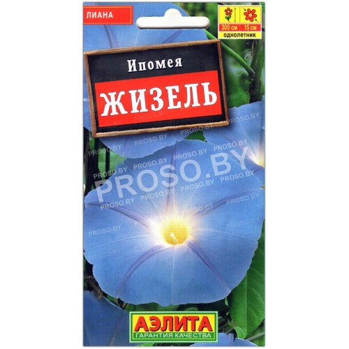 Ипомея Жизель