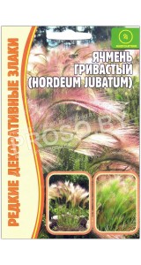 Ячмень Гривастый