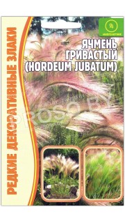 Ячмень Гривастый