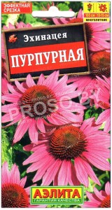 Эхинацея Пурпурная