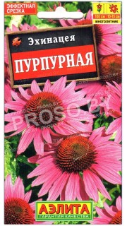 Эхинацея Пурпурная