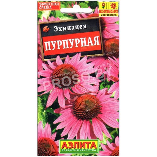 Эхинацея Пурпурная