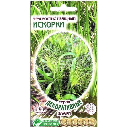 Эрагростис изящный Искорки