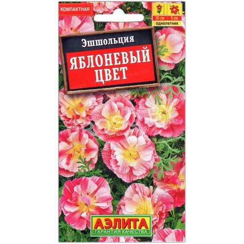 Эшшольция Яблоневый цвет-1