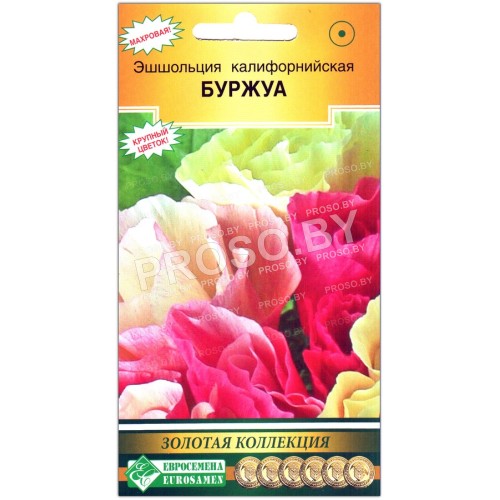 Эшшольция калифорнийская Буржуа