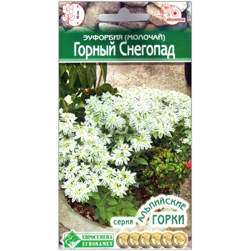 Эуфорбия (молочай) Горный снегопад