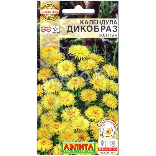 Календула Дикобраз желтая