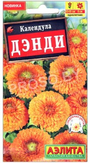 Календула Дэнди