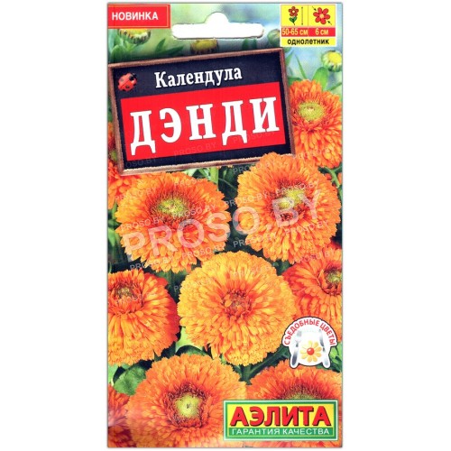 Календула Дэнди