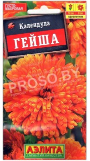 Календула Гейша