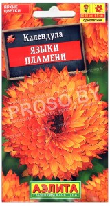 Календула Языки пламени