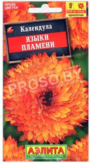 Календула Языки пламени