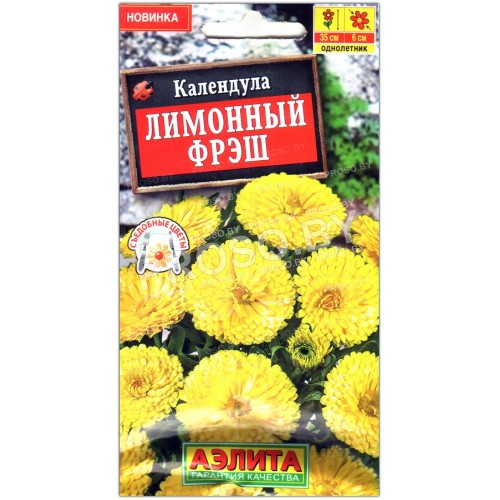Календула Лимонный фрэш