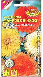 Календула Махровое чудо