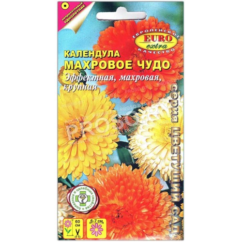 Календула Махровое чудо