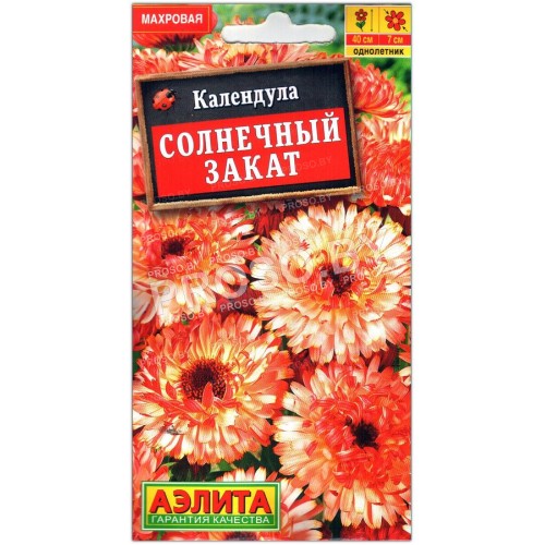 Календула Солнечный закат